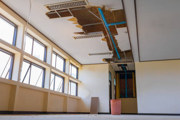 Best Flood restoration services  in Winnie, TX