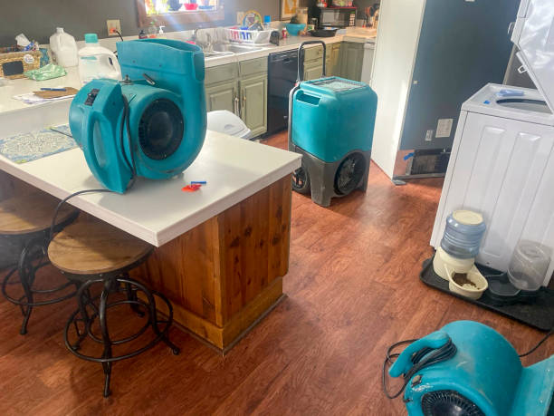 Best Carpet water damage restoration  in Winnie, TX