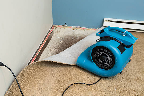 Best Flooded house restoration  in Winnie, TX